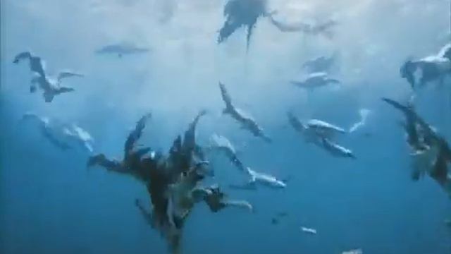 Жак-Ив Кусто - Приключение на шельфе (1966) Подводная одиссея команды Кусто смотреть онлайн