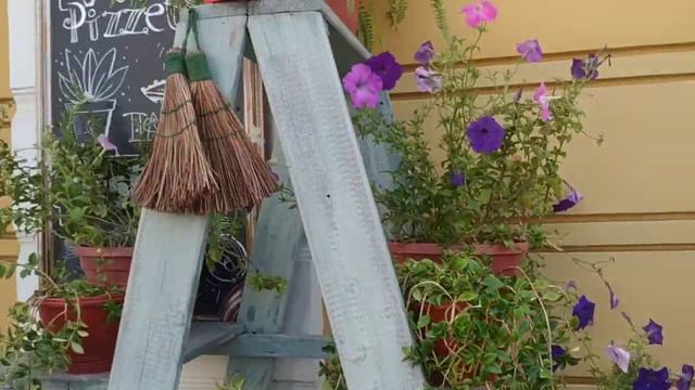 Прогулка по Омску смотреть онлайн