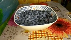 Терновник, польза ягод как приготовить, рецепт и способ применения! Ягоды терновника 2021