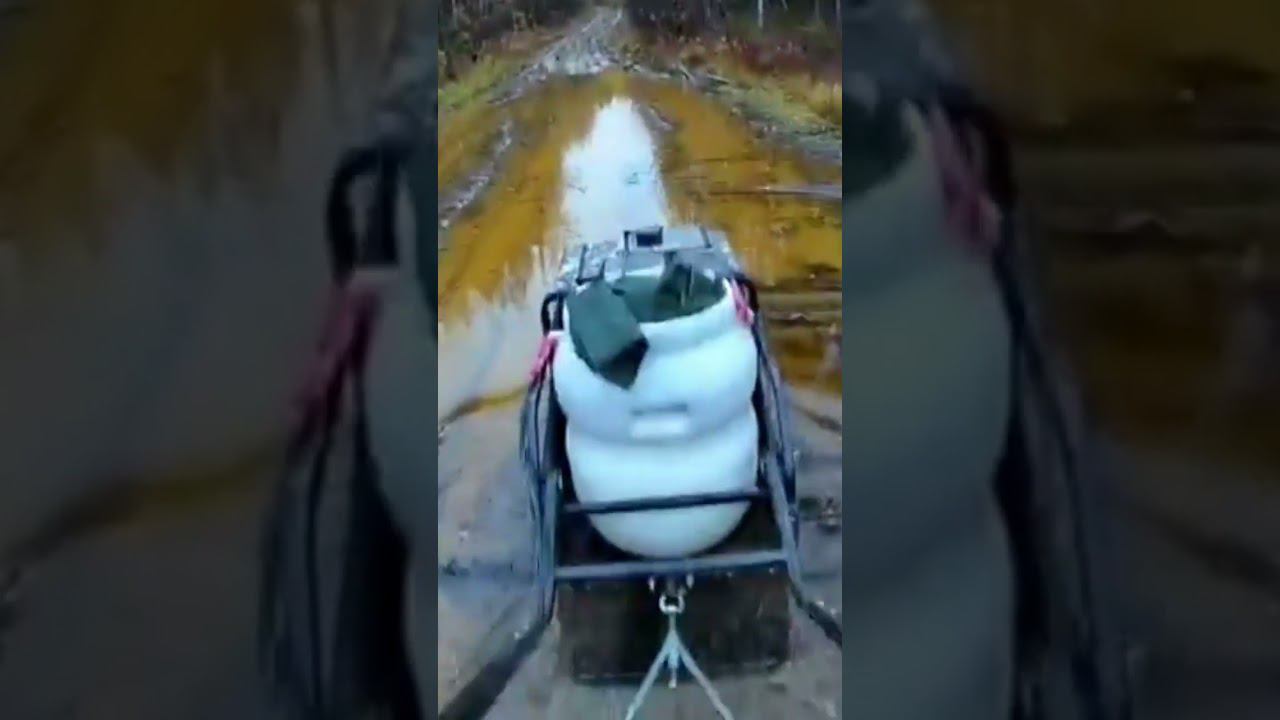 Койра Богатырь летом смотреть онлайн