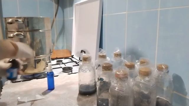 ПОСЕВ СЕМЯН ОРХИДЕИ В ПИТАТЕЛЬНУЮ СРЕДУ. смотреть онлайн