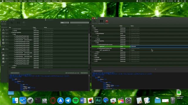 ПОЛНАЯ ИНСТРУКЦИЯ OPENCORE НАСТРОЙКИ!MACOS CATALINA!ХАКИНТОШ! смотреть онлайн