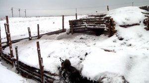 Подвиг Александра Матросова