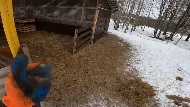 ТРАЧУ ДЕНЬГИ ПОДПИСЧИКОВ ! [Жизнь в деревне] смотреть онлайн