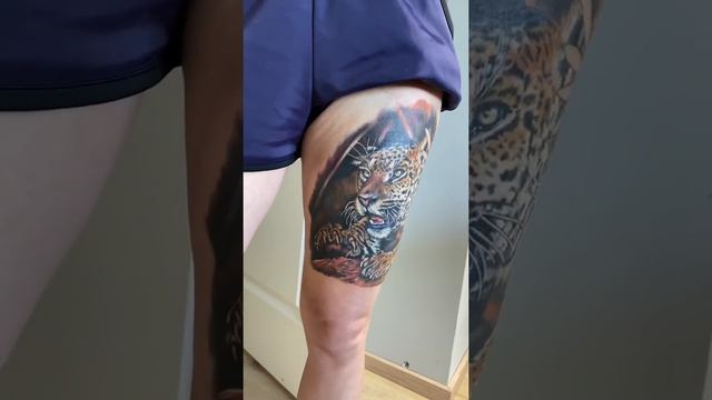 Gepard tattoo смотреть онлайн