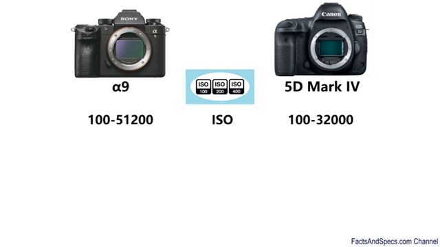 Sony A9 Vs Canon EOS 5D Mark IV