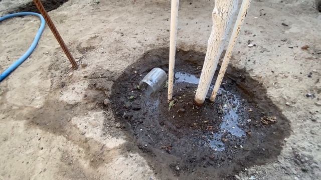 Самый лучший способ полива плодовых деревьев. Как правильно поливать плодовые деревья в саду. смотреть онлайн