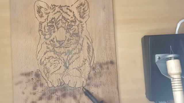 Выжигание — милый тигренок. Как сделать выразительный взгляд? смотреть онлайн