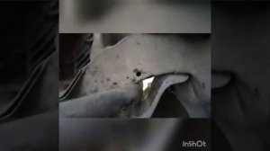 Как проходит нижняя трубка кондеционера на тоета АЕ100