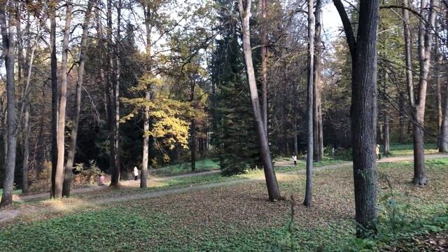 Музей заповедник Абрамцево смотреть онлайн