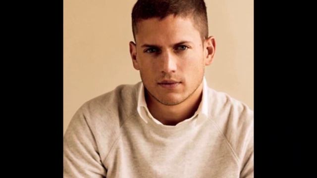 Découvrez la famille de Wentworth Miller "Scofield" смотреть онлайн