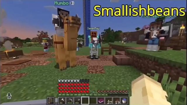 Secret Life All Deaths! Multiple POVs Weeks 1-4! #secretlife #minecraft смотреть онлайн