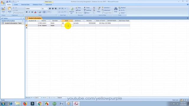 Microsoft Access Database Tutorial For Beginners | DBMS-Query Wizard-Report Wizard смотреть онлайн