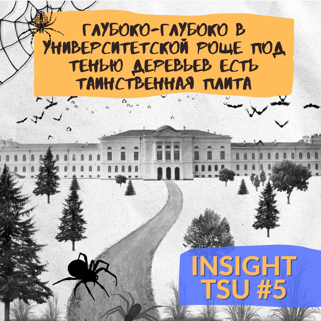 Insight TSU #5 | Памятники в Университетской роще смотреть онлайн