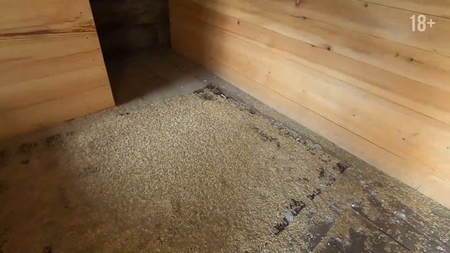 Курорт "Белокуриха" Алтайский край! Развлечения, отдых на Алтае. Путешествия и туризм по России 202 смотреть онлайн