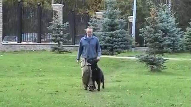 Норматив ОКД движение рядом смотреть онлайн
