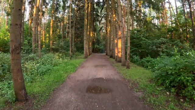 Парк Малевича и Арт-выставка «При чем тут Малевич?» 2023 смотреть онлайн