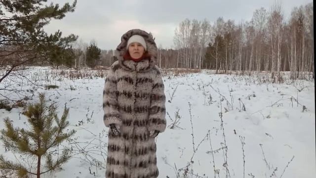 С Новым годом от Снегурочки смотреть онлайн