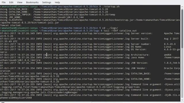 How to install and configure Apache Tomcat 8.5 in Linux Mint 18.2 смотреть онлайн
