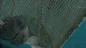 ТОП 12 лучших фильмов о РЫБАЛКЕ