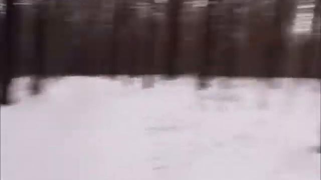 Обзор лыжной трассы в Яковлевском бору (Ведущие - Дмитрий Губерниев и Алёна):) смотреть онлайн
