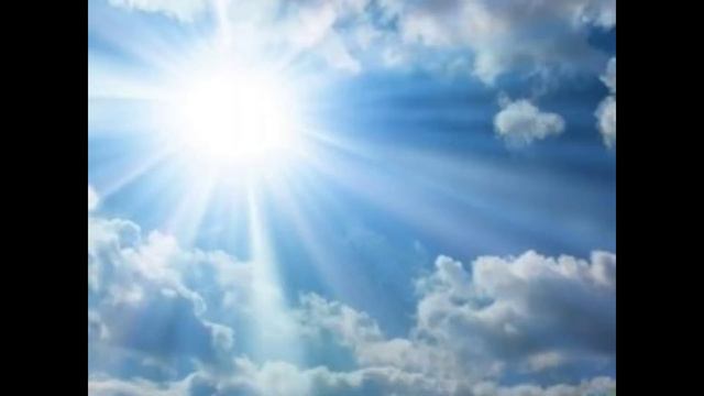 •|WildCraft|• WCMV 