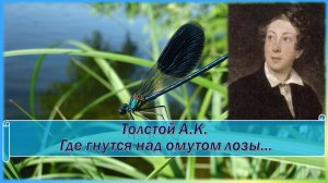 Толстой А.К. Где гнутся над омутом лозы + анализ.