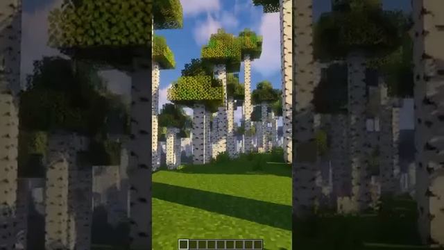 БЕРЁЗОВЫЙ ЛЕС 1.19, НО ЭТО МАЙНКРАФТ 1.17 | Майнкрафт Датапаки #Shorts смотреть онлайн