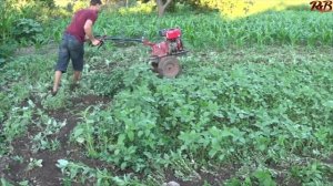 Плоскорез для мотоблока захват 50 см Homemade cultivator
