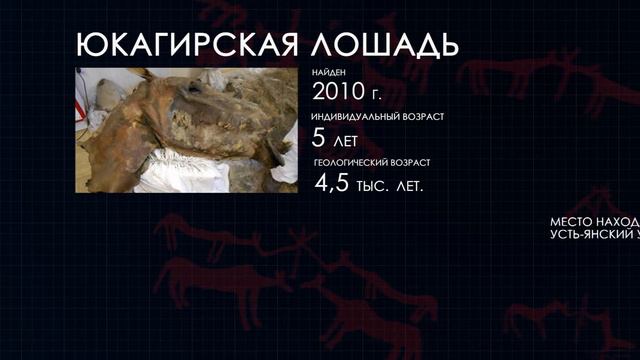 От Березовского мамонта до абыйских львят смотреть онлайн