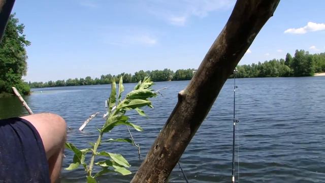 Рыбалка-Киев-парк Дружбы народов,река Десёнка (черторой) 2 смотреть онлайн