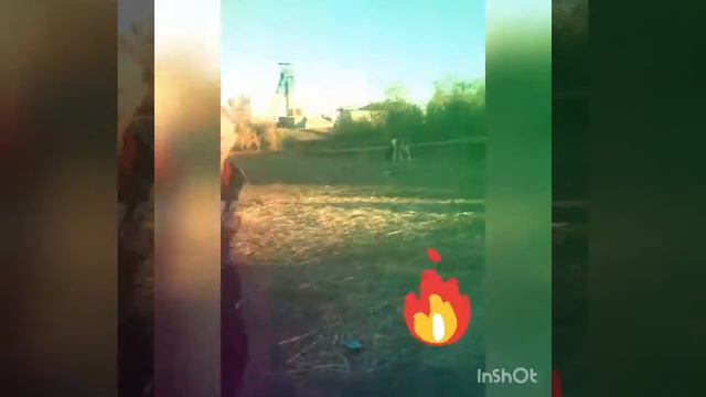 Lizer Всем отцам и матерям смотреть онлайн