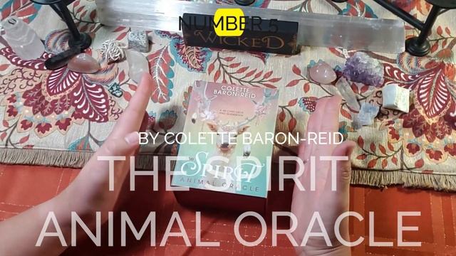 9 Best Oracle Decks For Best Results смотреть онлайн