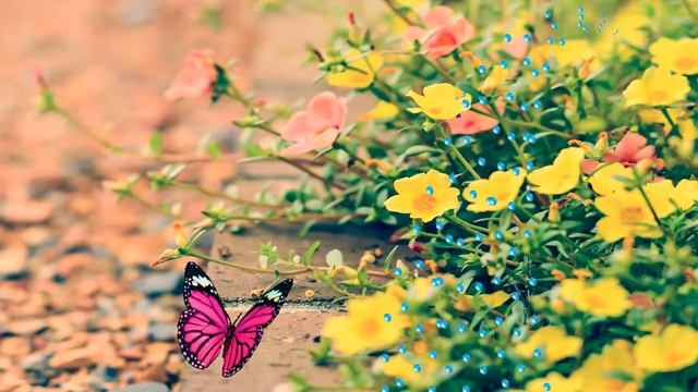 Relaxation Music For Every Day Water The Flowers / Поливать цветы