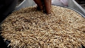 Сенокос. Эспарцет. Костер.