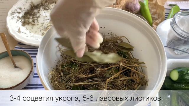 Малосольные огурцы Хрум Очень простой и быстрый рецепт смотреть онлайн