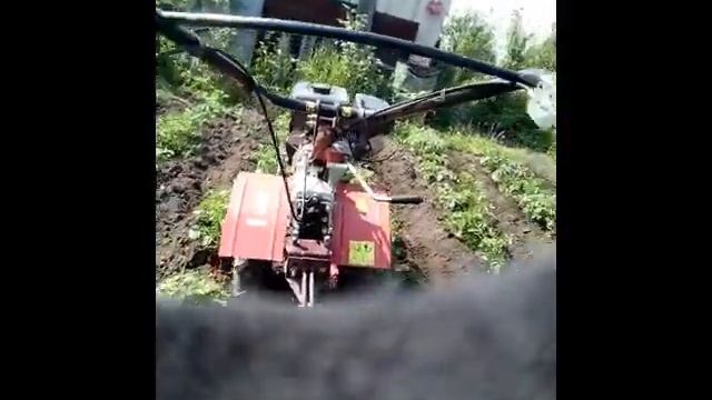 Мотоблок Угра мотор Mitsubishi 6,0 л.с/окучивание картофеля/одинарный окучиватель/ cultivator Ugra смотреть онлайн