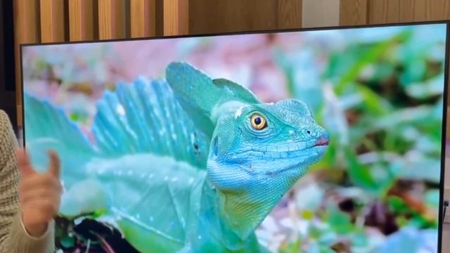 Телевизор Hyundai 32 H-LED32BS5003 смотреть онлайн