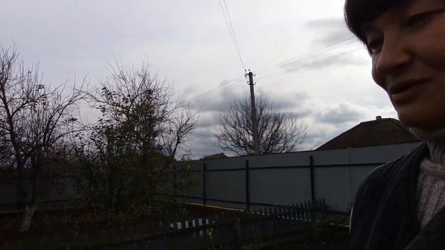 ✔Посадка хризантем - дубков в палисаднике смотреть онлайн