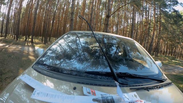 Чистота с улыбкой