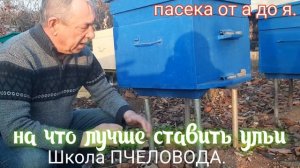 ПАСЕКА.ПЧЕЛОВОДСТВО. НА ЧТО ЛУЧШЕ СТАВИТЬ УЛЬИ.