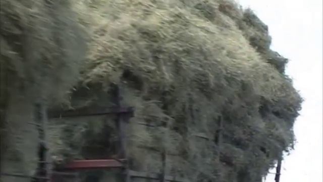 Сено заготавливается низкими темпами в Костанайской области смотреть онлайн