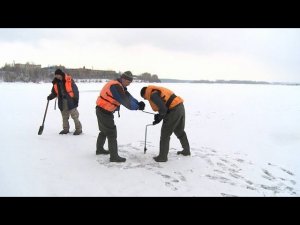 "Будни" (новости Бийска, 15.03.16г., ТВ-КОМ)