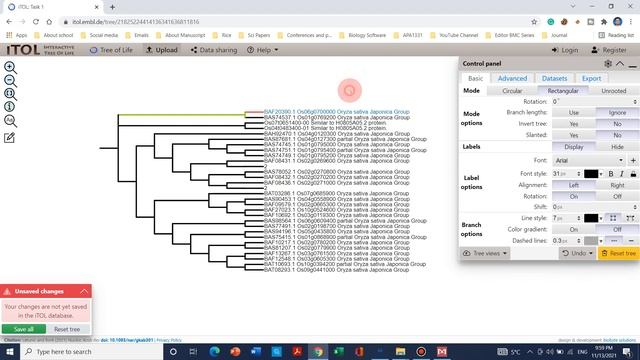 How to construct colorful Phylogenetic trees for research article | Lecture-3 смотреть онлайн