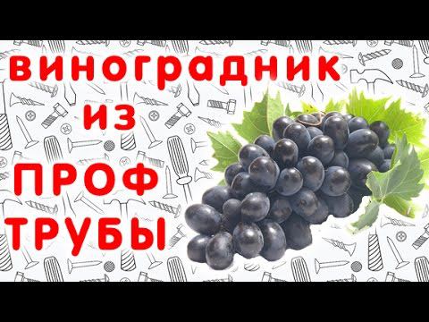 Двухплоскостная шпалера для винограда своими руками. Виноградник из металлических труб. смотреть онлайн