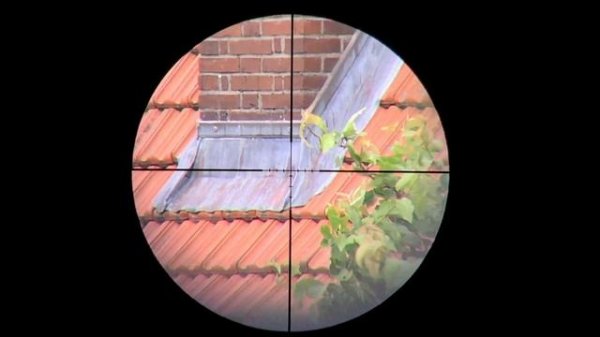 Vortex Diamondback HP 3-12x42 BDC Dead Hold Reticle Jagd Zielfernrohr