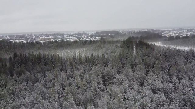 Большое болото. смотреть онлайн