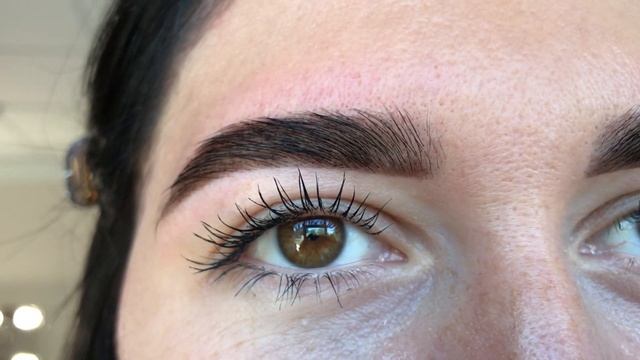 Коррекция бровей воском и пинцетом + окрашивание хной Ekkobeauty