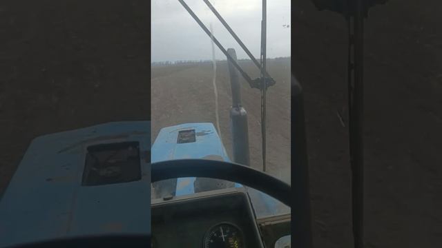 культивация#работа #трактористы #механизатор #культивация #механизаторы смотреть онлайн