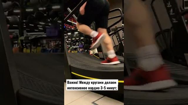 ЖИРОСЖИГАЮЩАЯ ТРЕНИРОВКА| Круговая тренировка на все тело| Эта тренировка «взорвет» твои мышцы смотреть онлайн